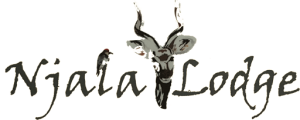 logo_png_512